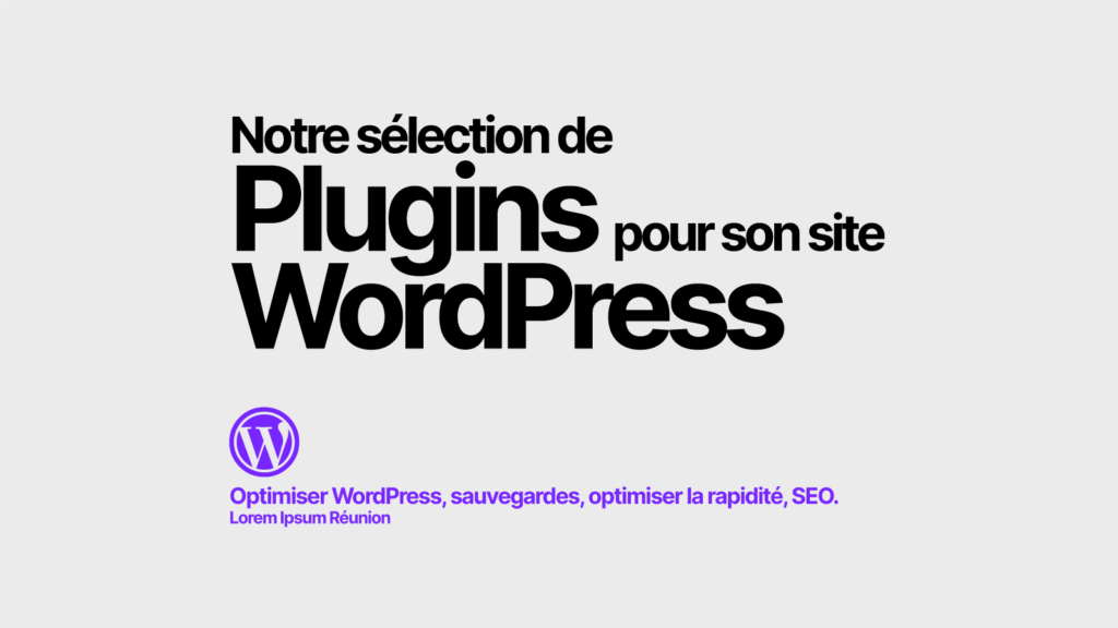 Sélection de plugin pour WordPress 974