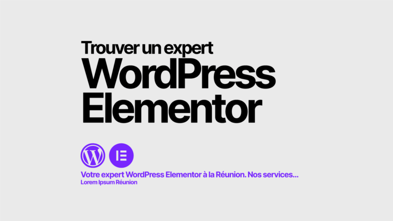 Image de l'article "Expert Elementor Pro pour WordPress à la Réunion"