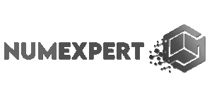Numexpert
