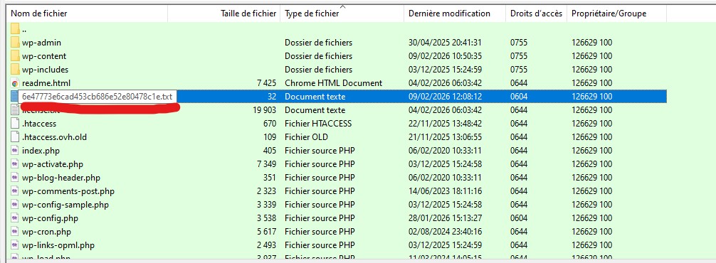Fichier API IndexNow maintenant présent dans la racine du site internet