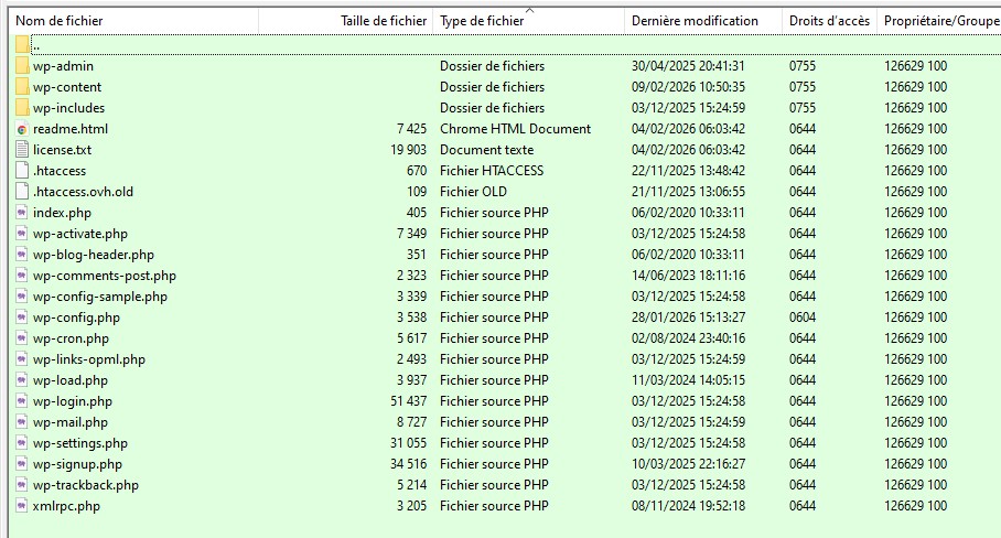 Vue de votre site internet depuis FTP (FileZilla)