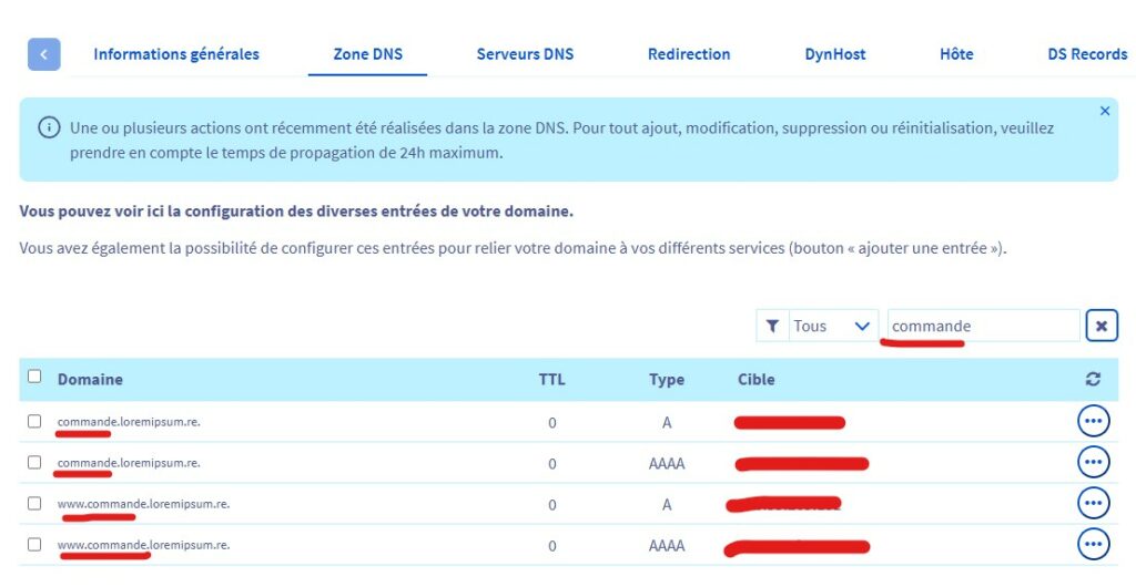 Exemple visuel d'un site propagé sur une Zone DNS OVH